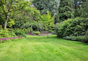 Optimiser l'expérience du jardin à Montclard